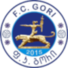 FC哥里